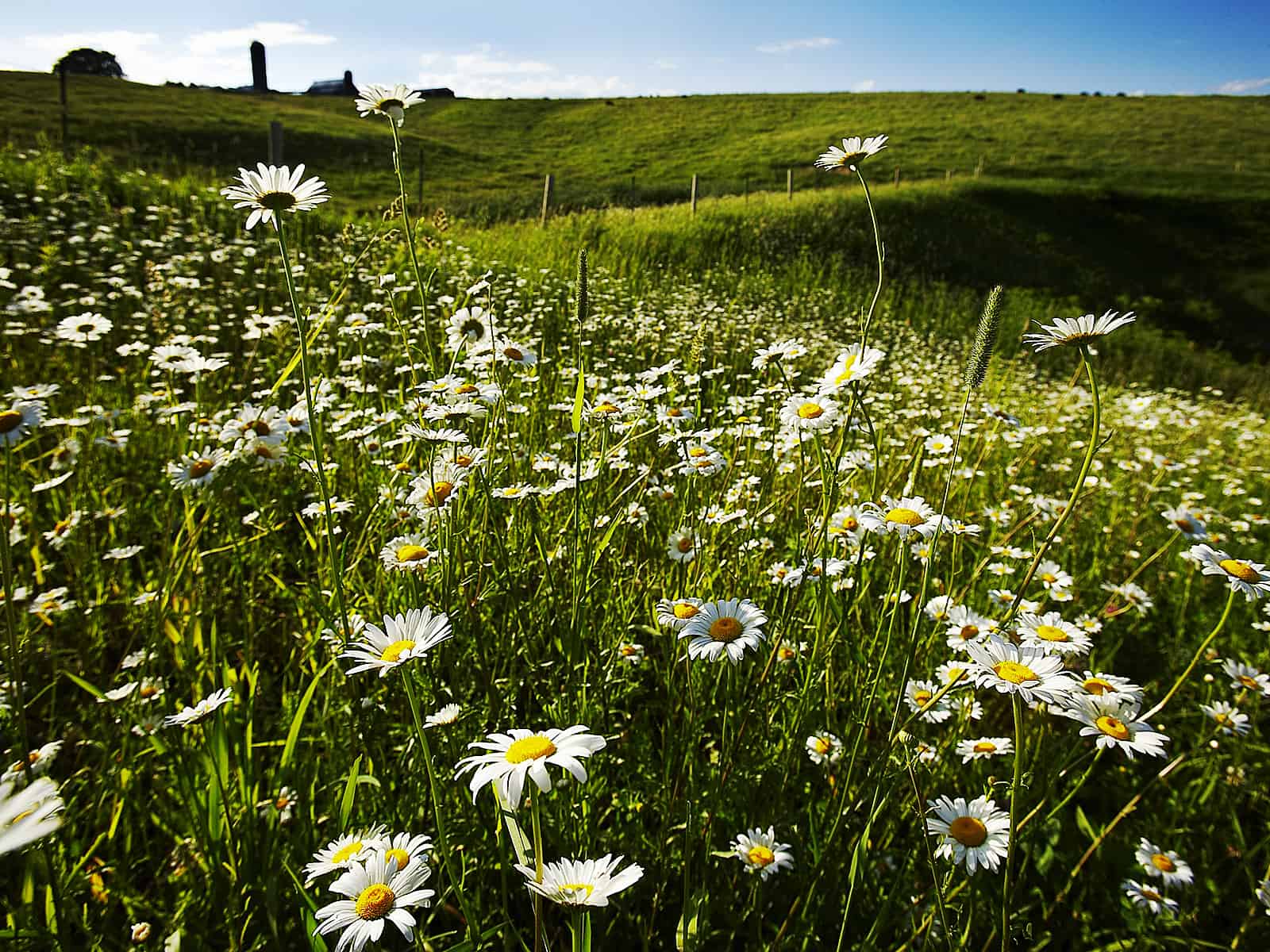 New Albin Savings Bank Banking Access New Albin Savings Bank