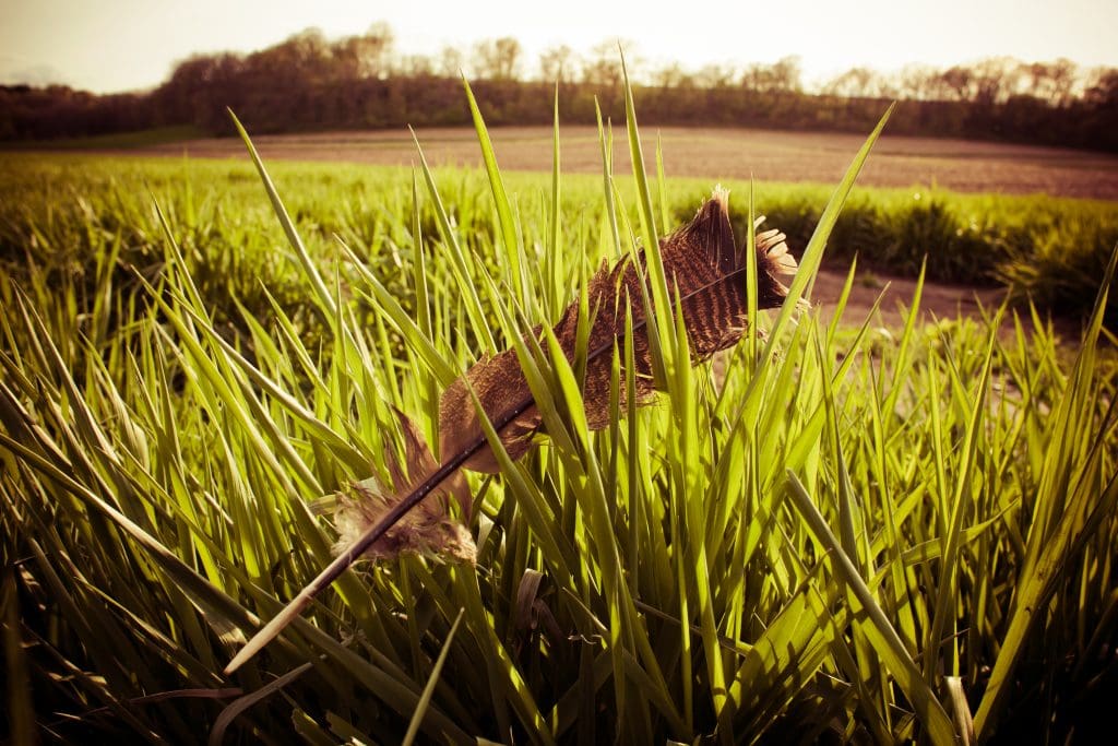 New Albin Savings Bank Located In New Albin, Iowa