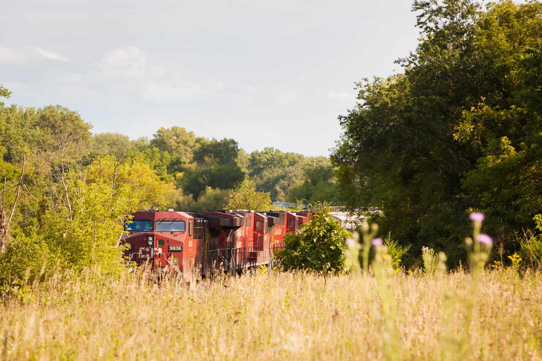 New Albin, Iowa Community and Businesses