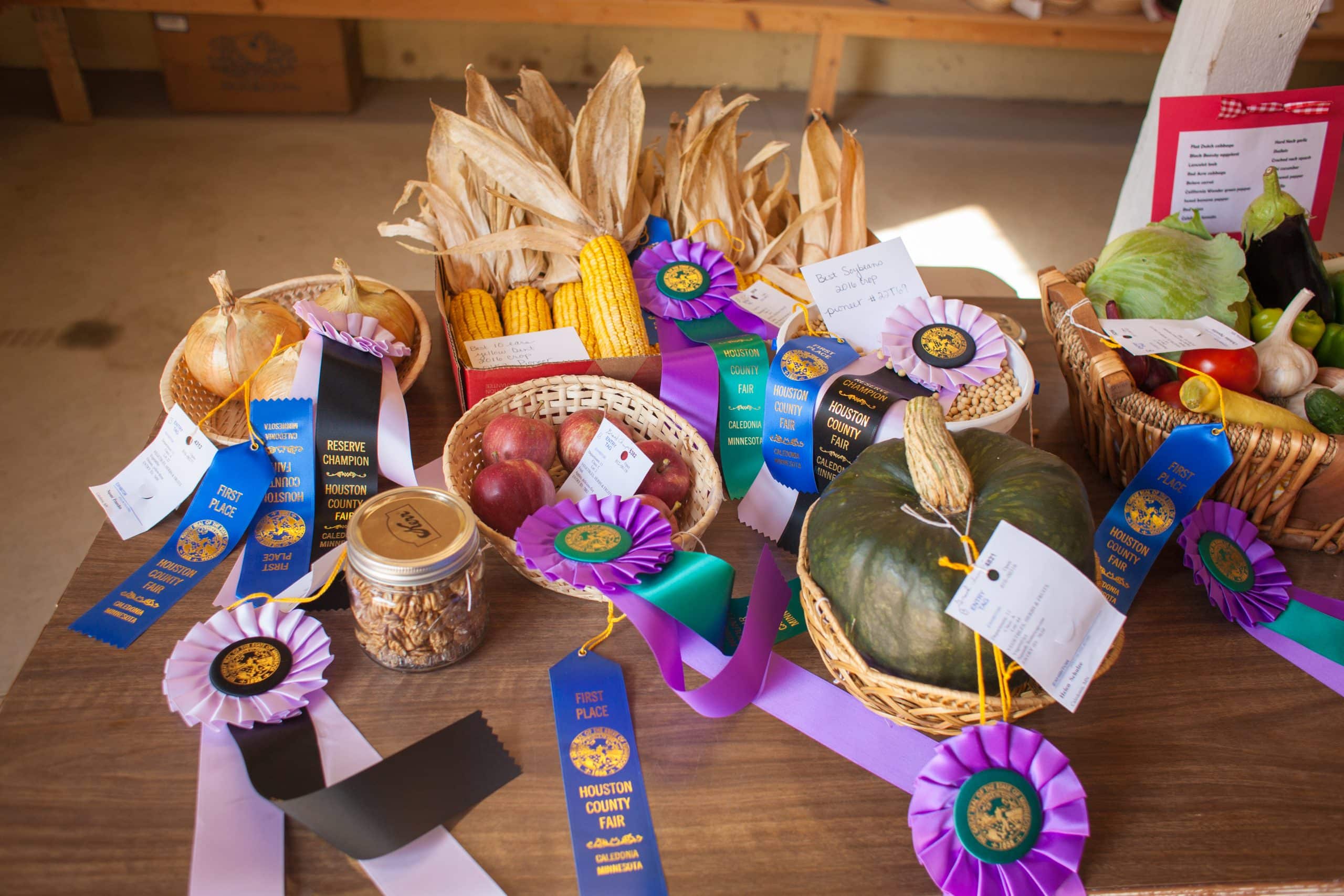 New Albin Savings Bank, Auto, Ag & Home Loans New Albin IA