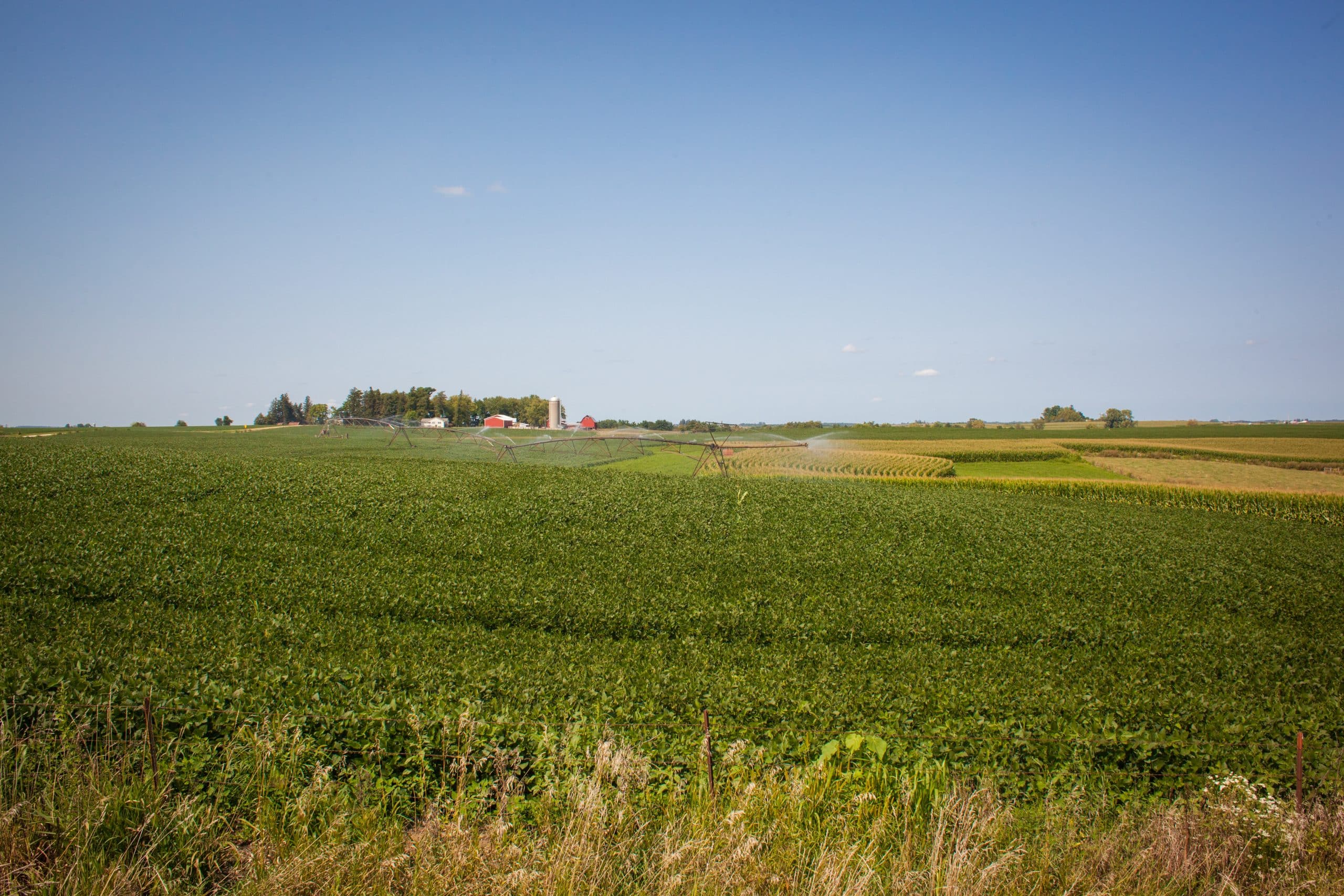 New Albin Savings Bank, Auto, Ag & Home Loans New Albin IA