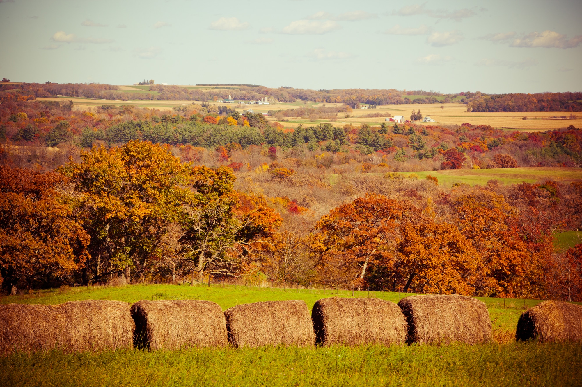 New Albin Savings Bank, Auto, Ag & Home Loans New Albin IA