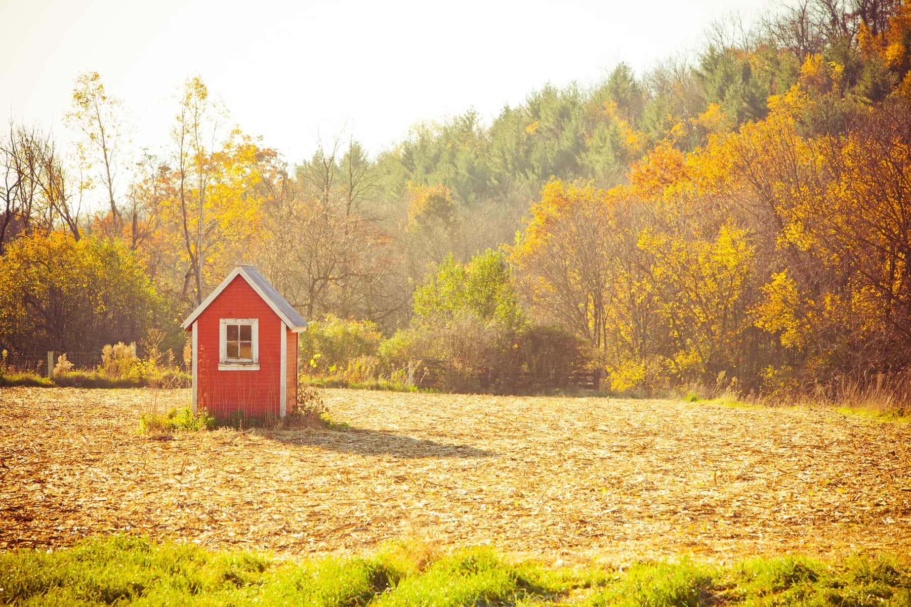 New Albin State Bank73 New Albin Savings Bank